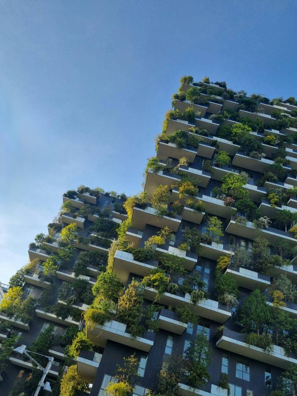 Sustainable architecture