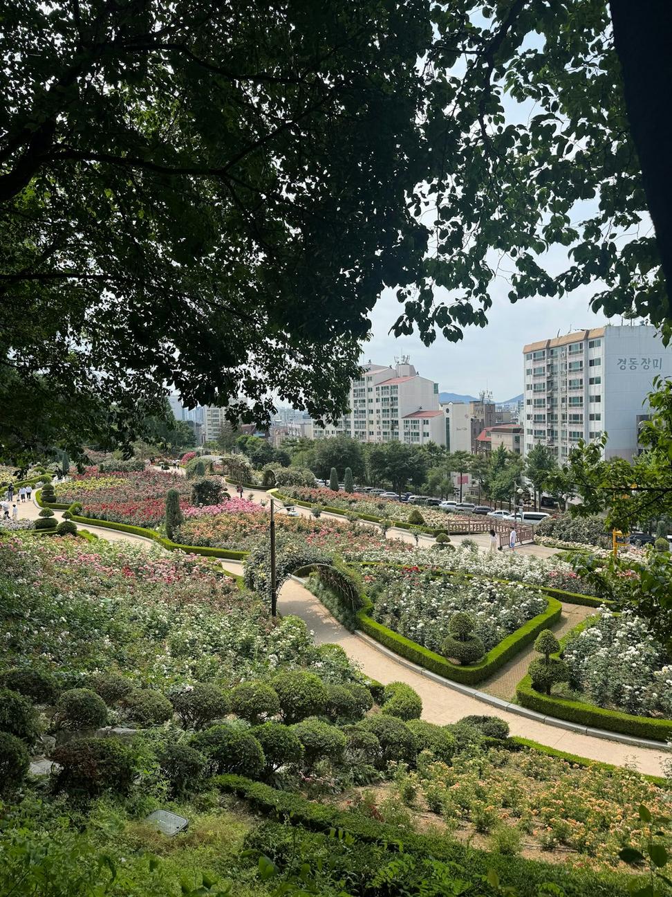 Urban Planning